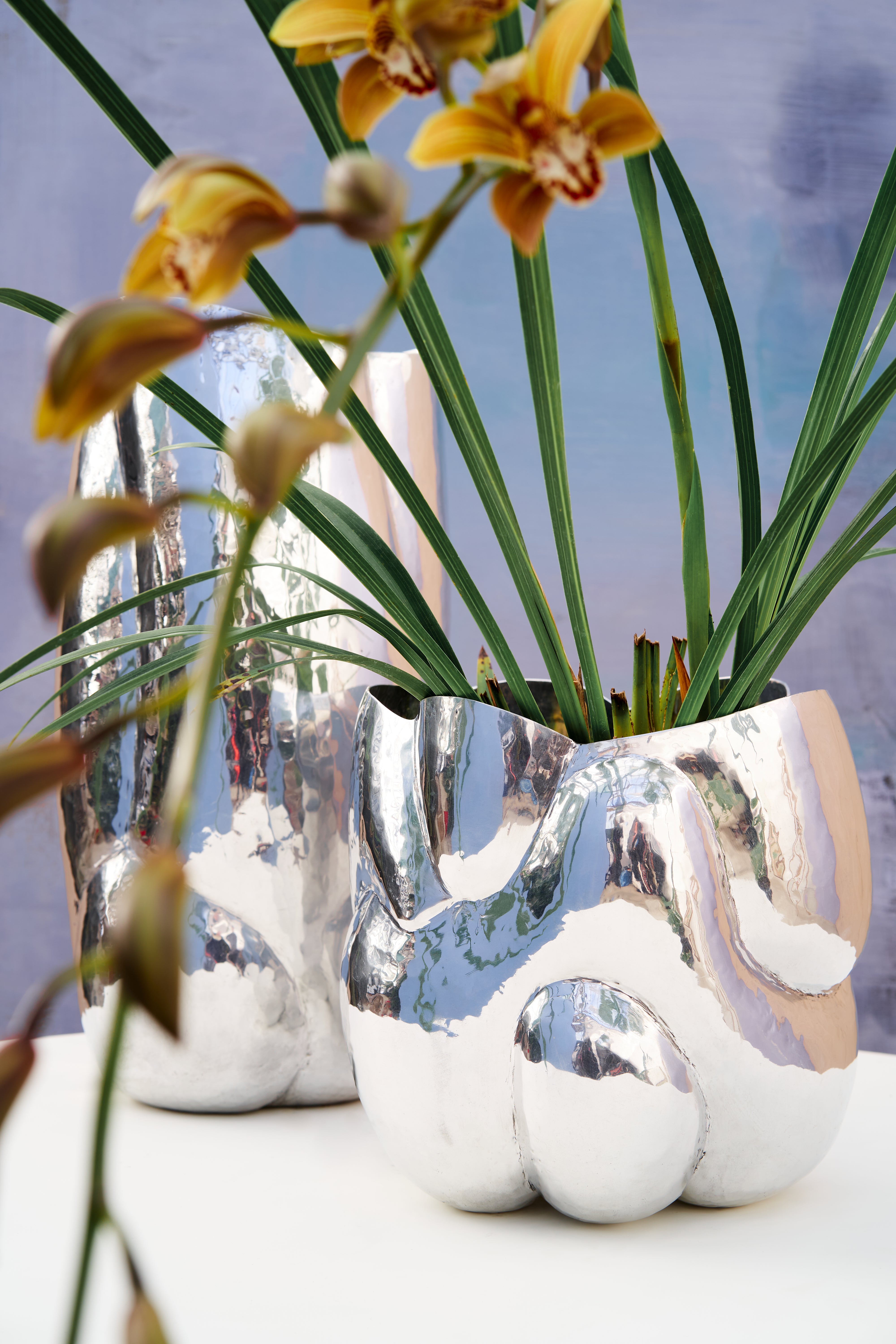 [Bald kommen] Wäsche Cloud Aluminium [Julia] [Amelia Spring]