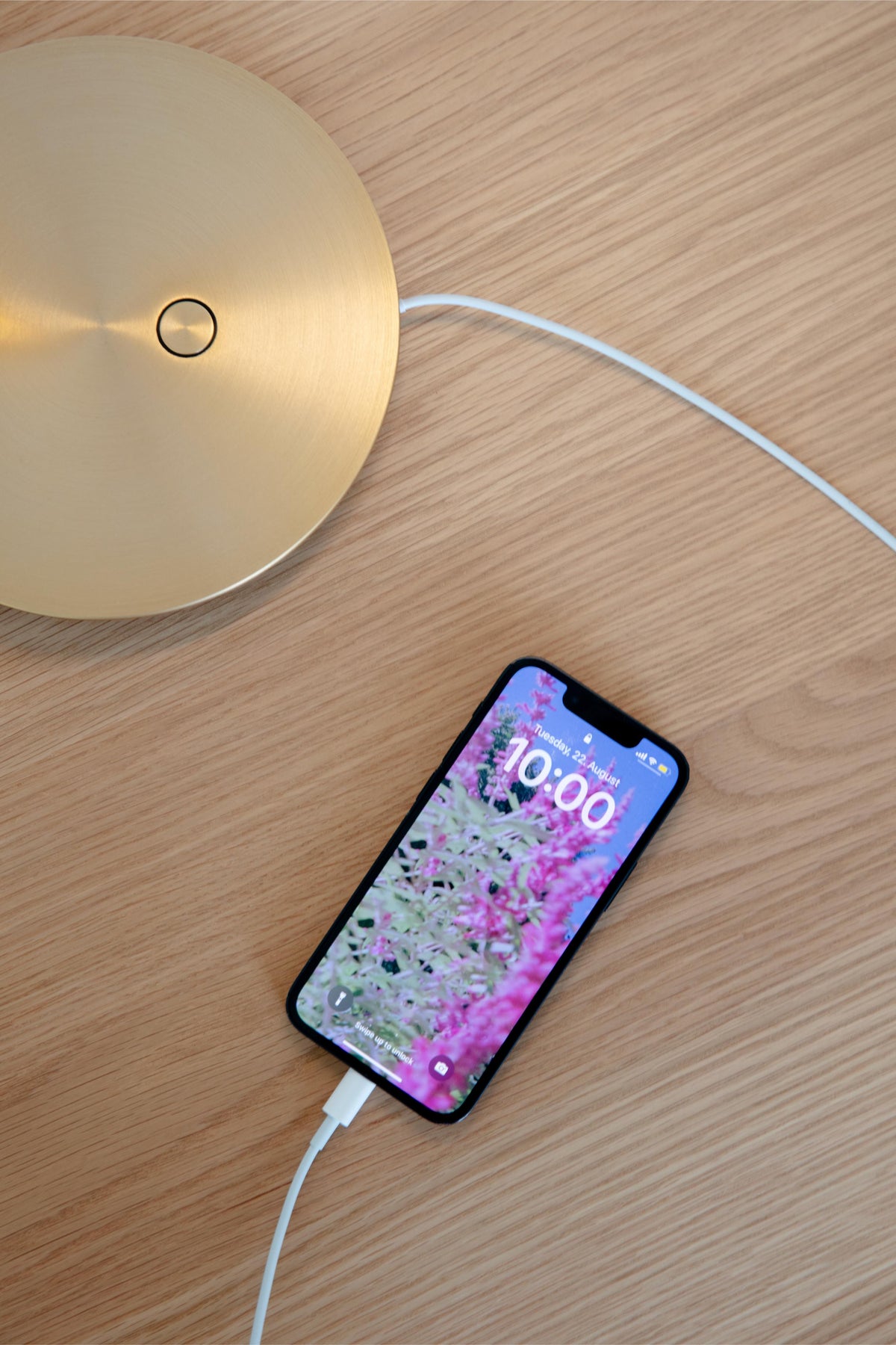 OMNI gold table lamp