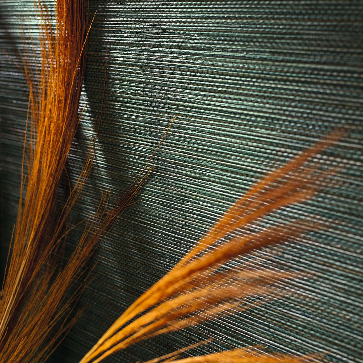 Structural wallpaper imitating seagrass fibers ZOSTERA - EMERAUDE emerald