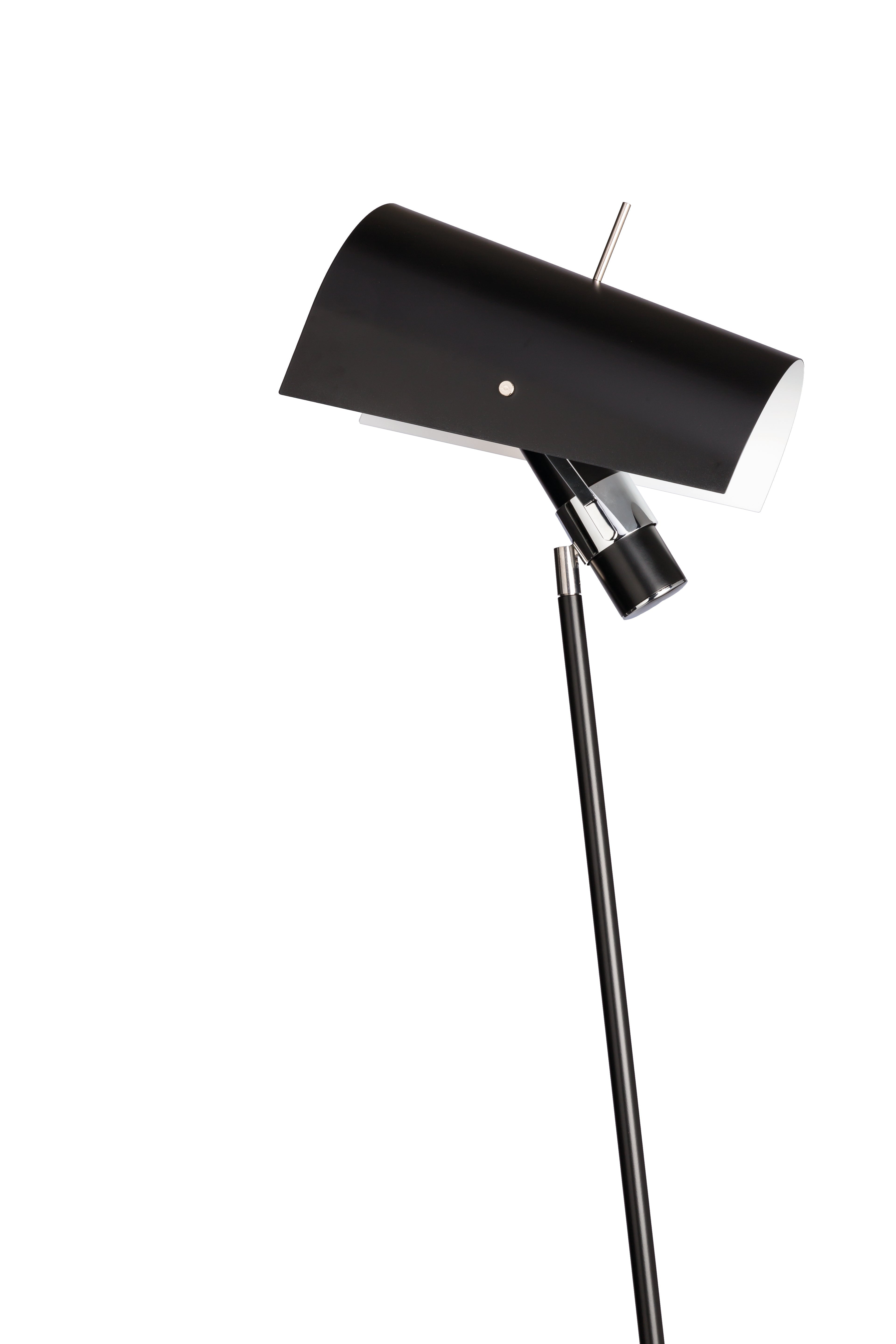 Claritas black floor lamp