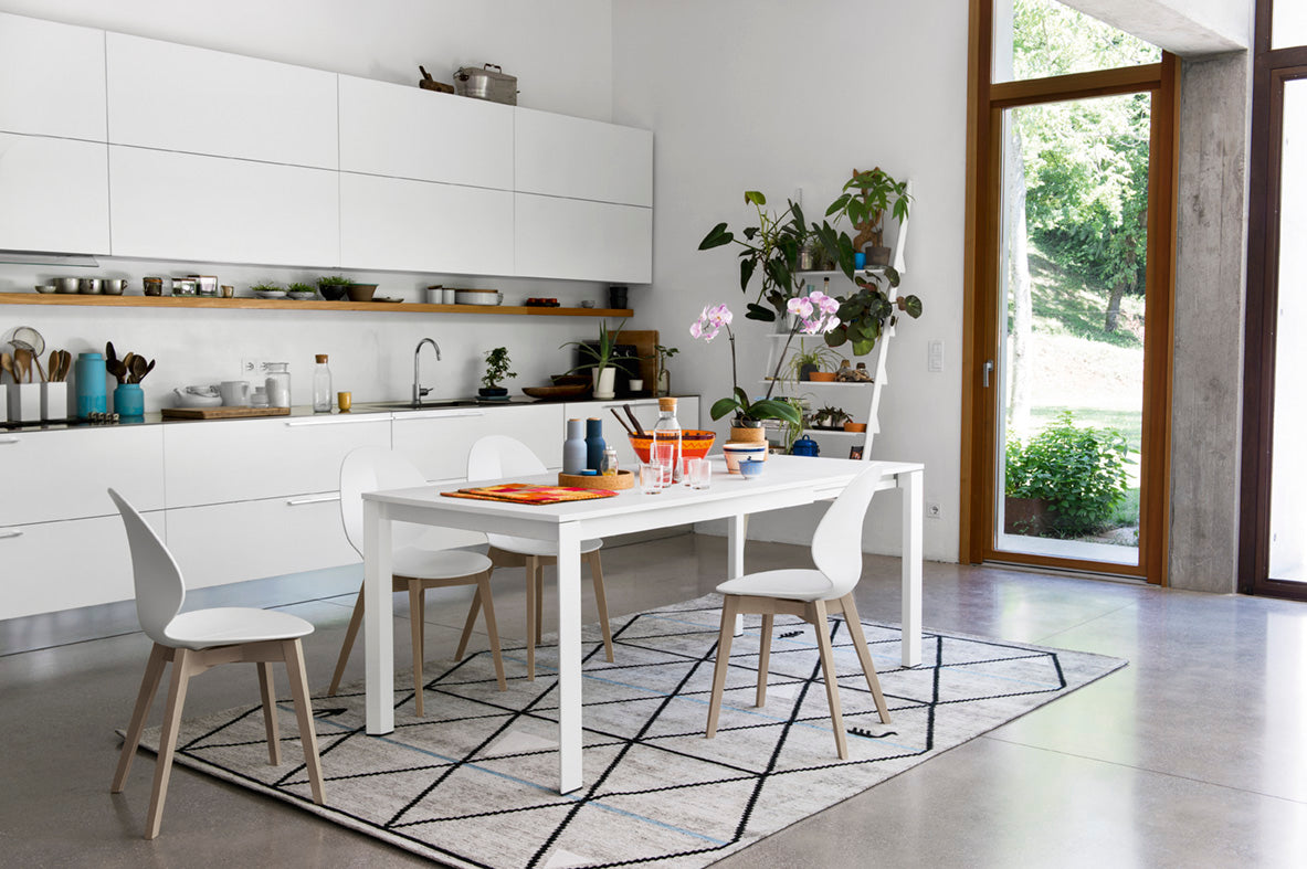 BASIL Chair with White Seat and Bleached Wooden Base
