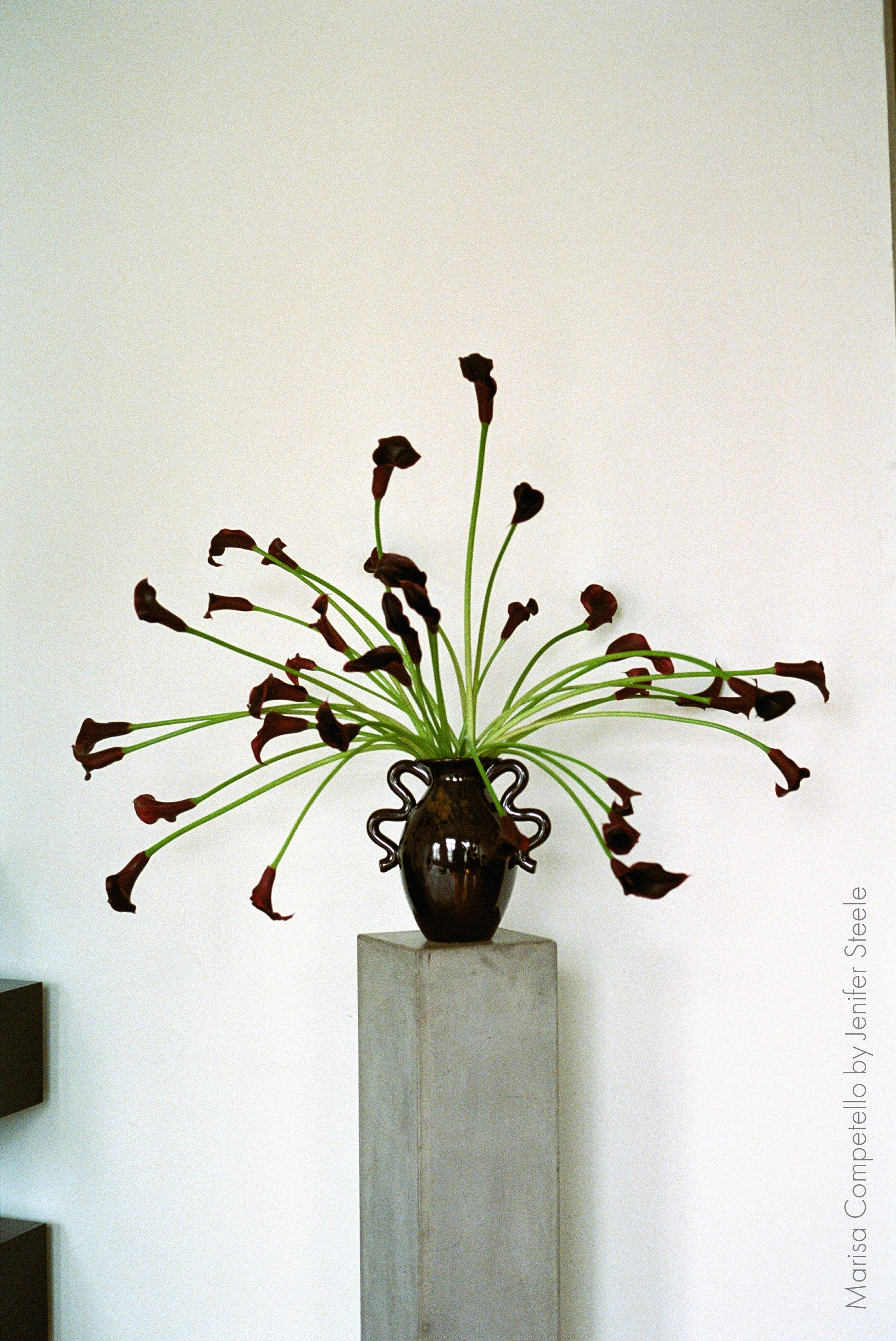 Verso vase black with brown