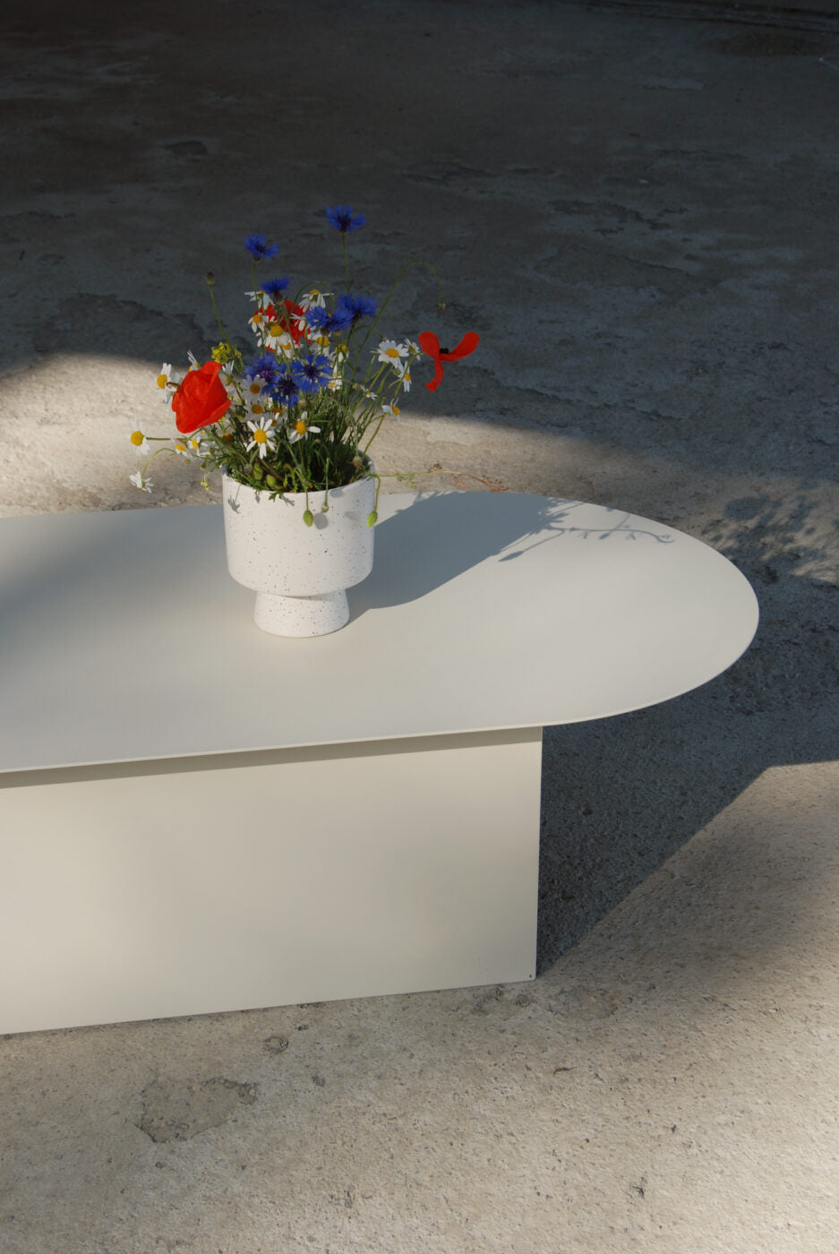 FUKU LONG Coffee Table in Steel and Wood