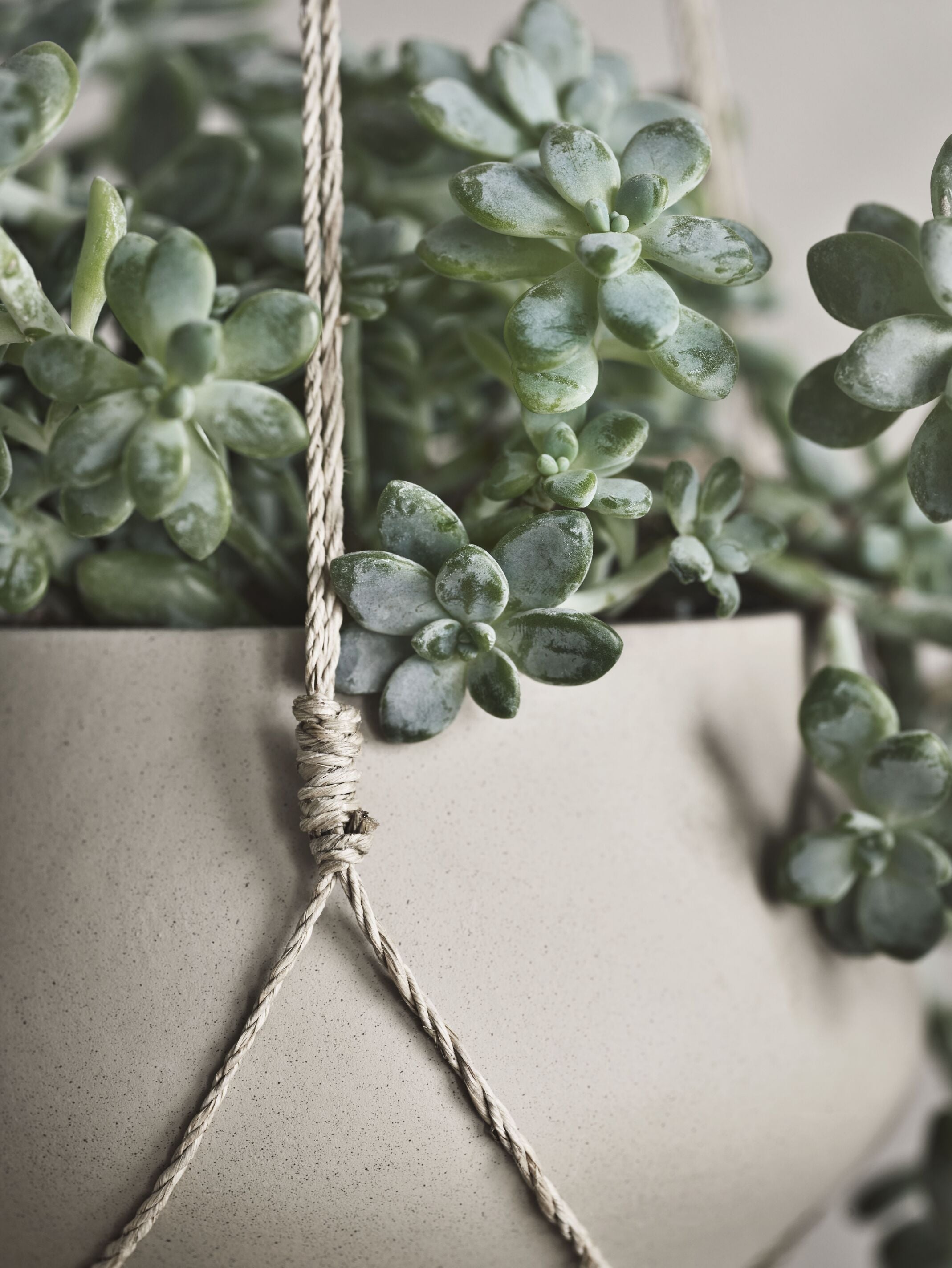 Hanging pot GROVE beige ceramics