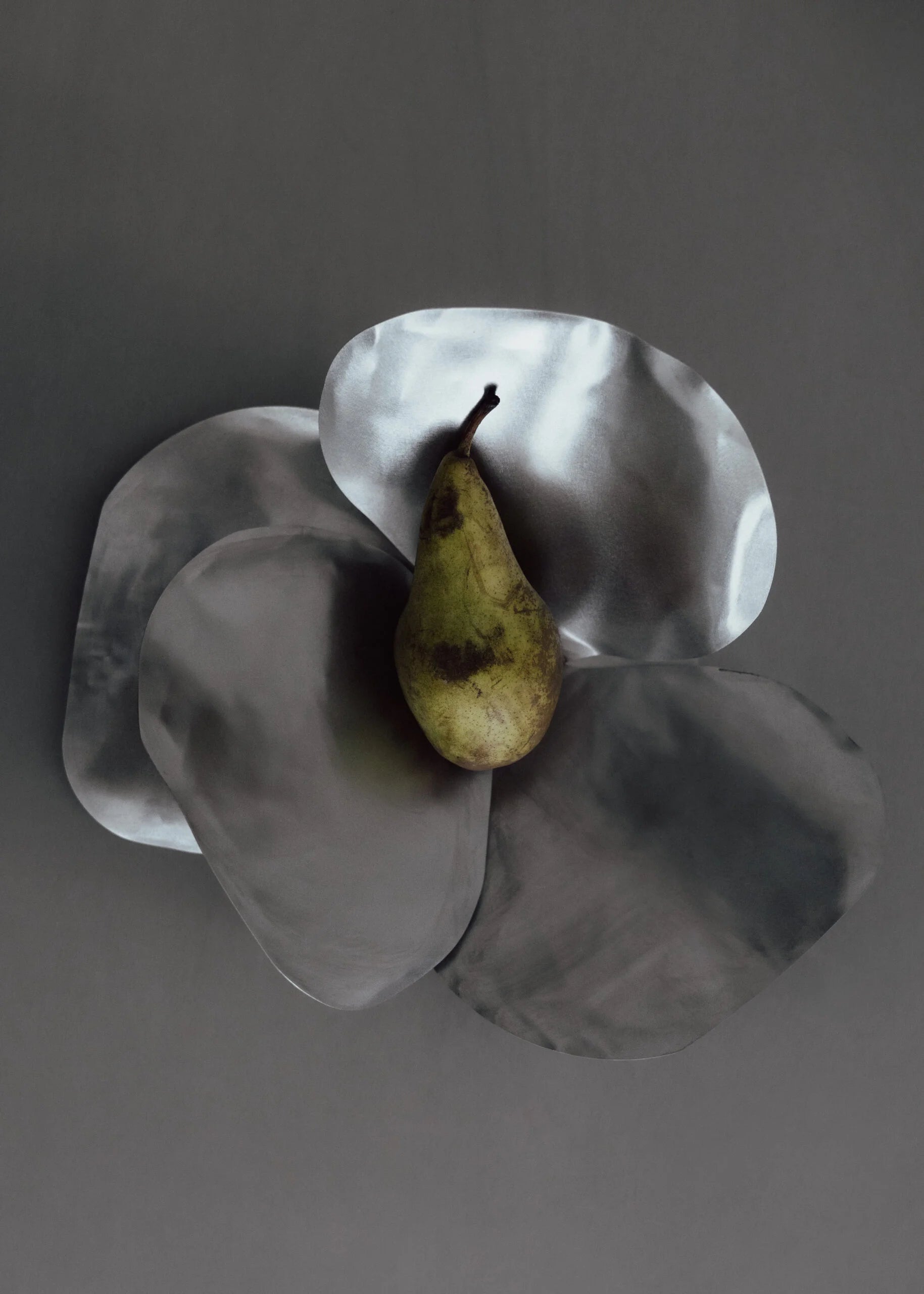 Steel Bowl