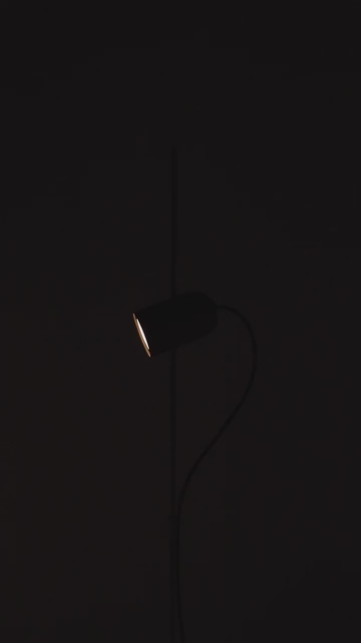 ONFA Floor Lamp in Black Ash Wood with Graphite Finish