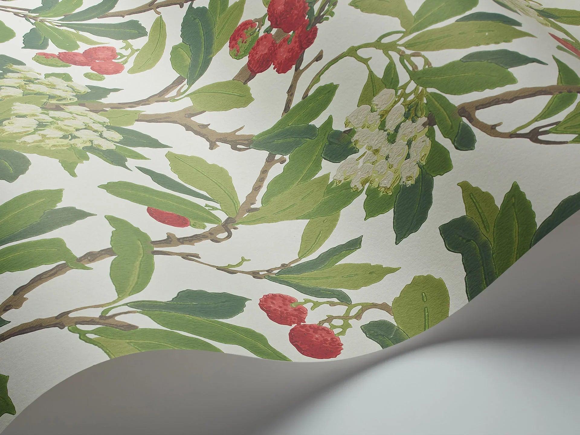 Tapeta ARCHIVE ANTHOLOGY - Strawberry Tree czerwień na bieli Cole & Son    Eye on Design