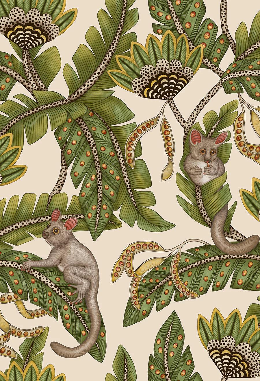 Tapeta ARDMORE JABULA - Bush Baby oliwkowy na kremowym Cole & Son Default Title   Eye on Design