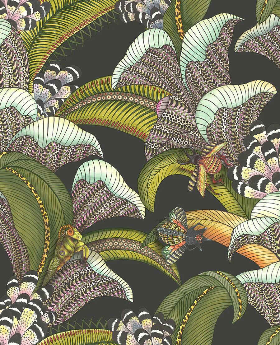 Tapeta ARDMORE JABULA - Hoopoe Leaves terakota na czarnym Cole & Son    Eye on Design