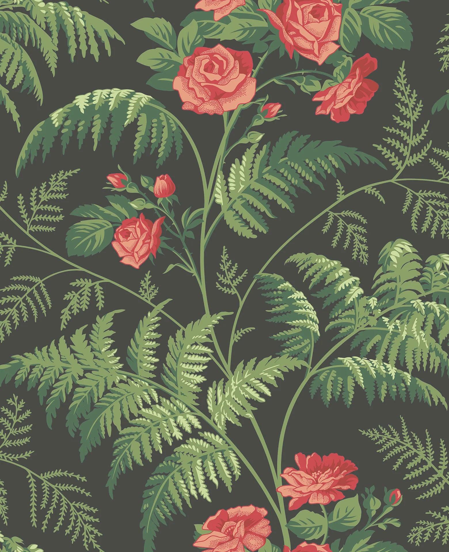 Tapeta BOTANICAL BOTANICA - Rose czarny Cole & Son Default Title   Eye on Design