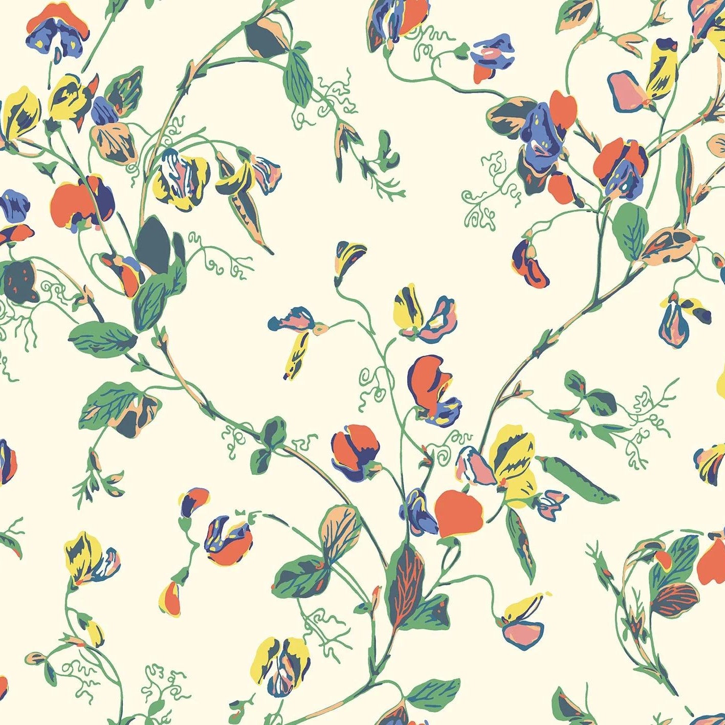 Tapeta BOTANICAL BOTANICA - Sweet Pea kremowy Cole & Son Default Title   Eye on Design