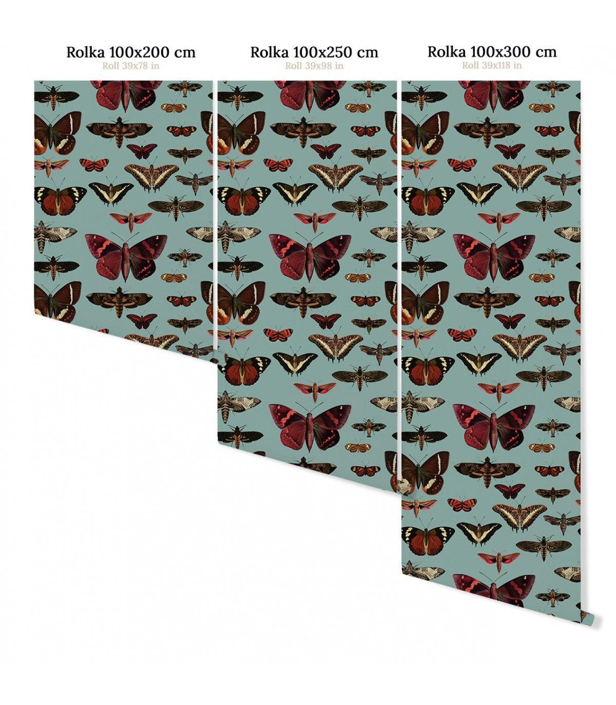 Tapeta BUTTERFLIES TURQUOISE Wallcolors    Eye on Design