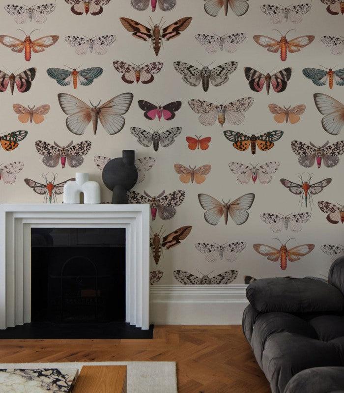 Tapeta Colorful Butterfly Light Beige Wallcolors    Eye on Design