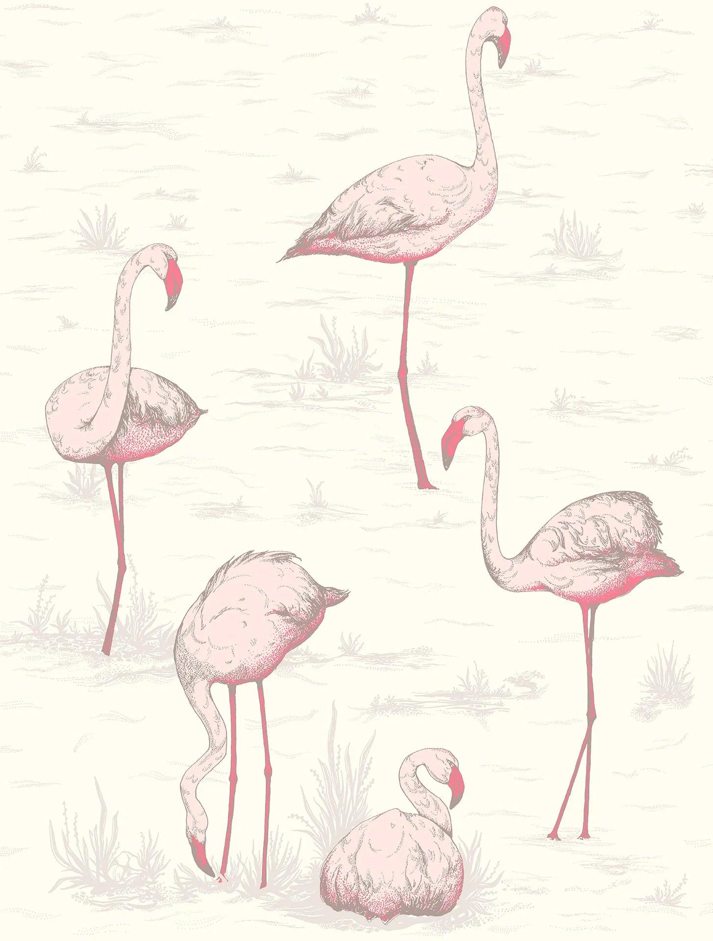 Wallpaper with an animal motif of flamingos CONTEMPORARY COLLECTION - Pink Flamingos
