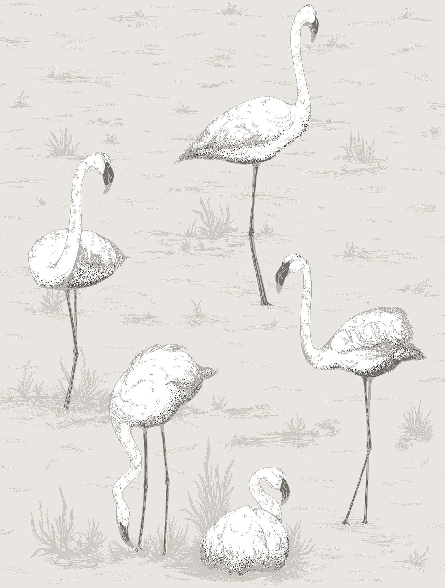 Tapeta CONTEMPORARY COLLECTION - Flamingos szary Cole & Son    Eye on Design