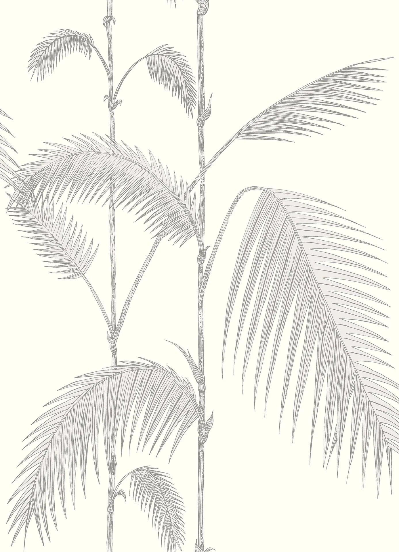 Tapeta CONTEMPORARY COLLECTION - Palm Leaves szary Cole & Son Default Title   Eye on Design