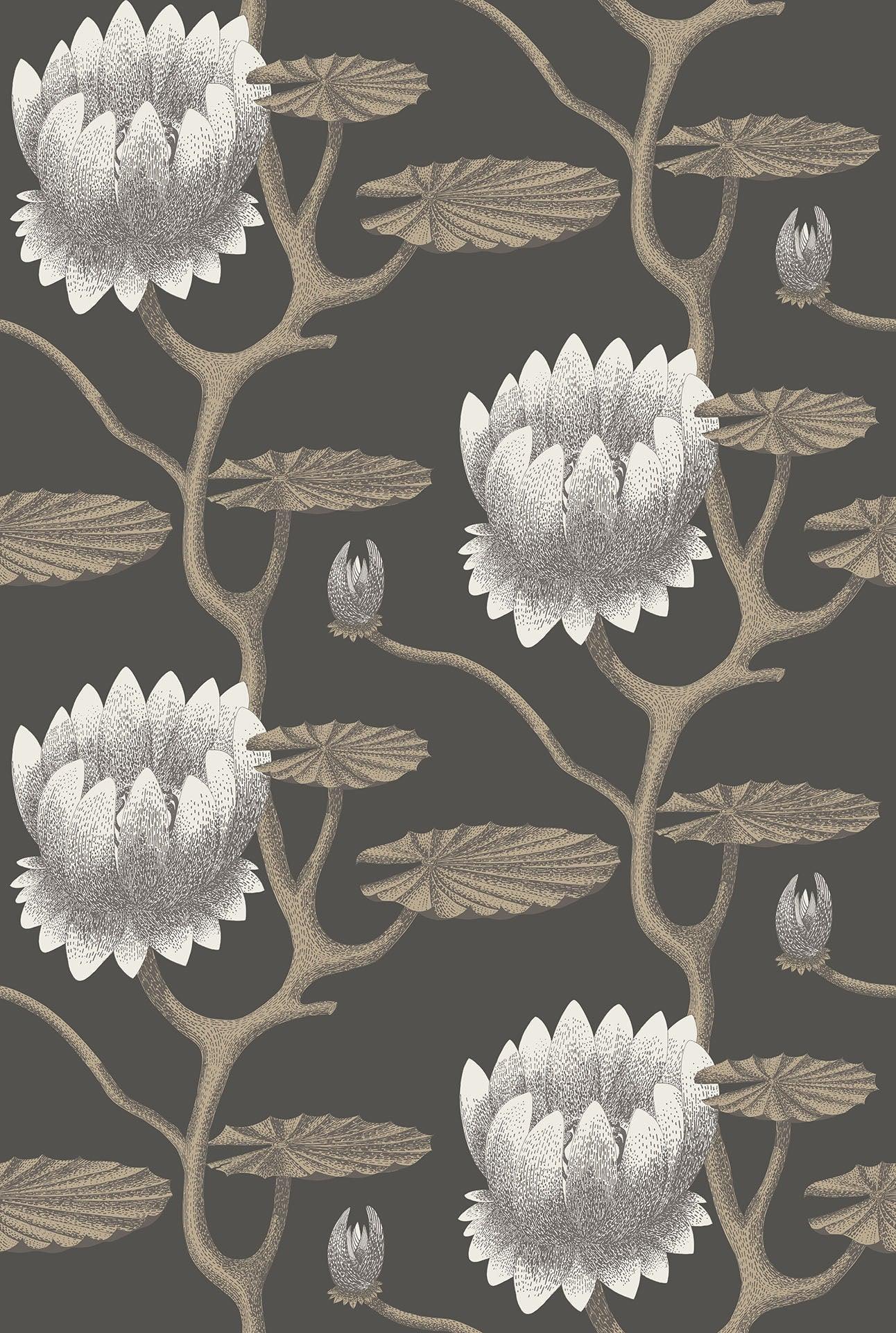 Tapeta CONTEMPORARY COLLECTION - Summer Lily brązowy Cole & Son Default Title   Eye on Design