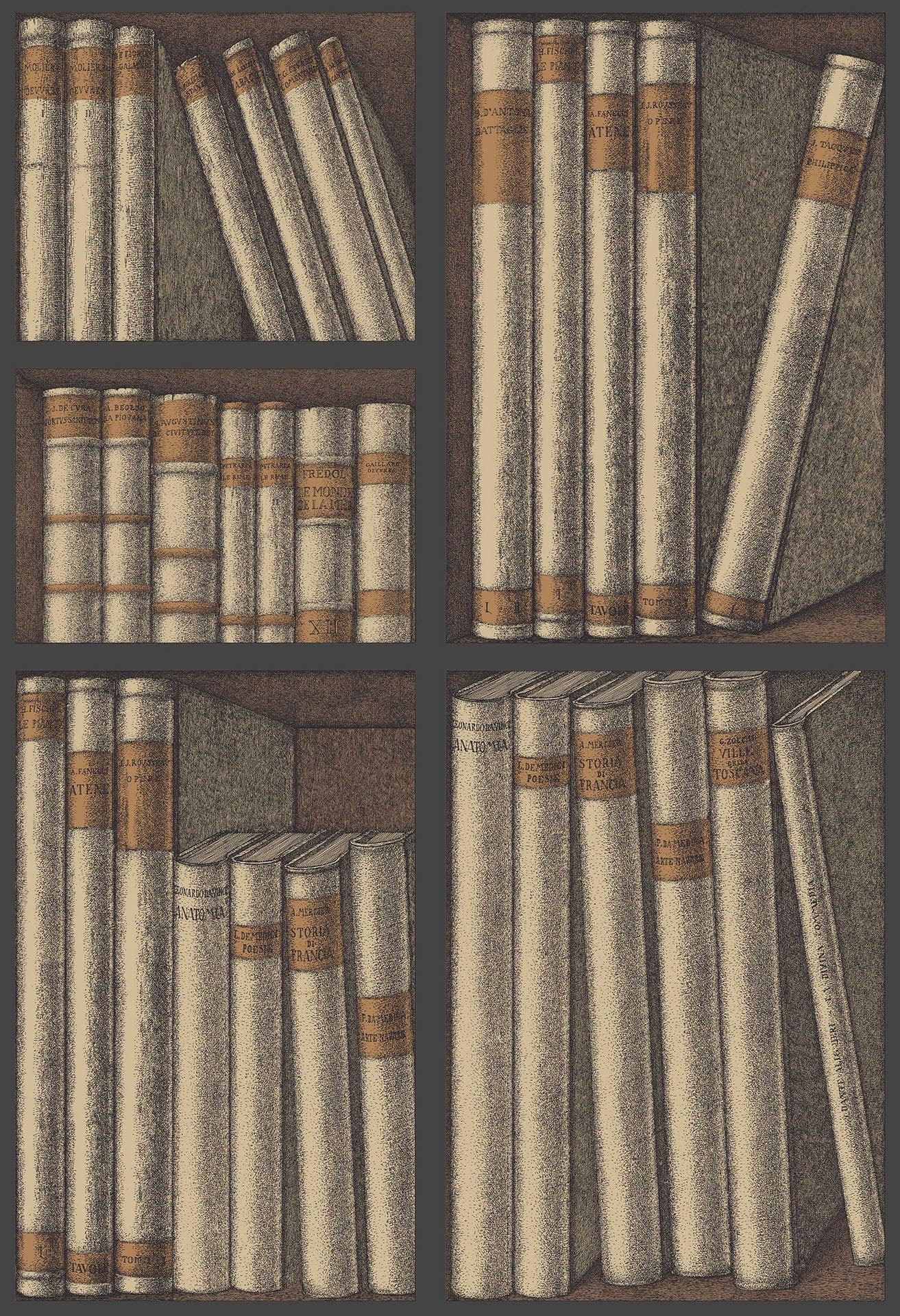 Wallpaper with a library and books motif FORNASETTI - Ex Libris beige