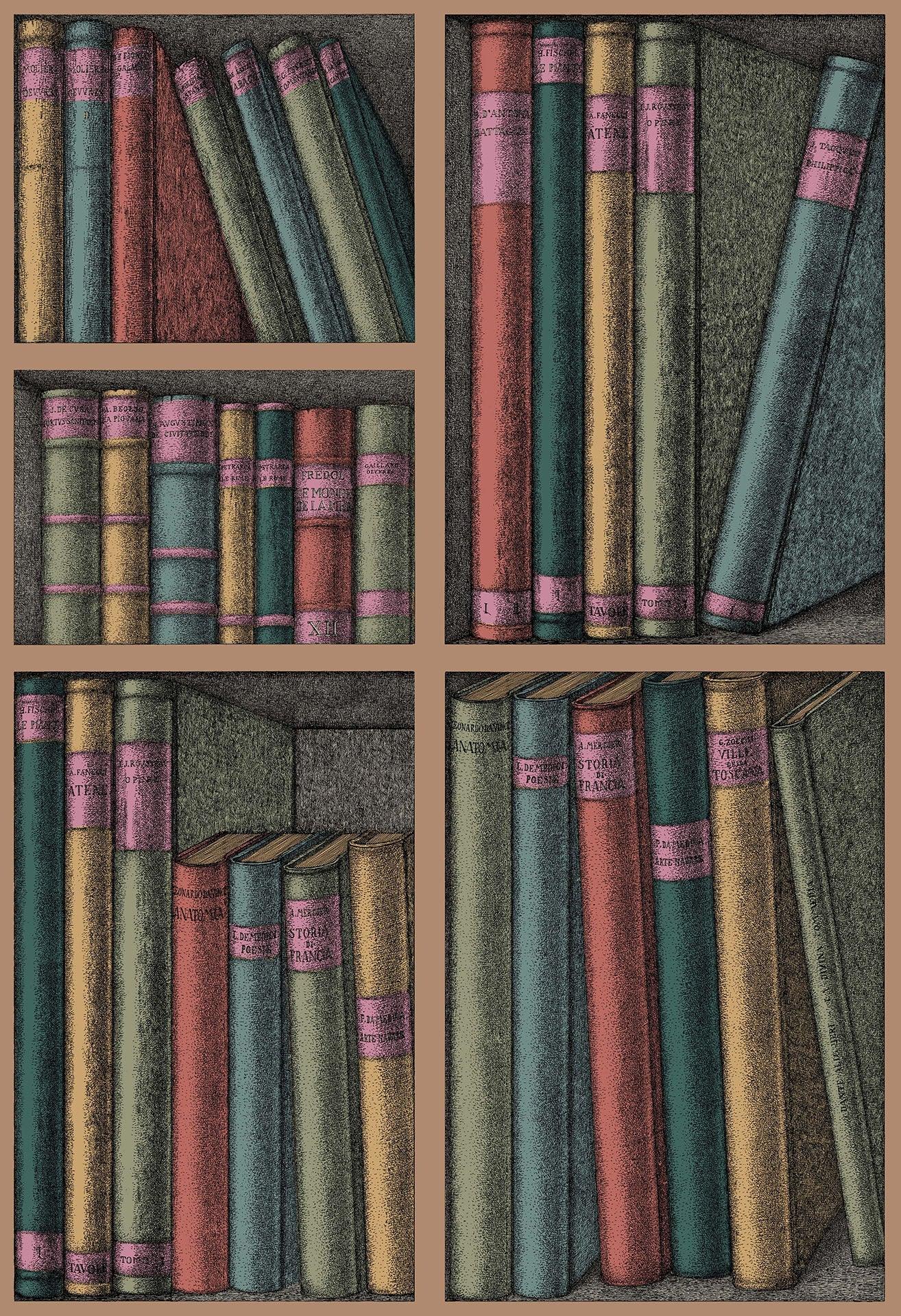 Wallpaper with a library and books motif FORNASETTI - Ex Libris multicolored