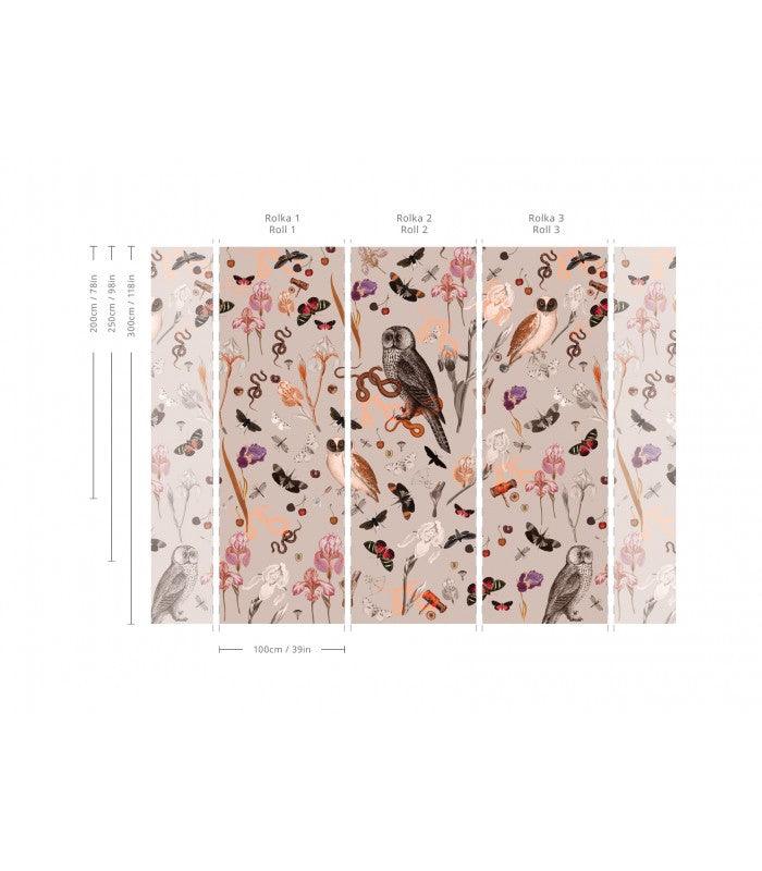 Tapeta PINK OWLS Wallcolors    Eye on Design