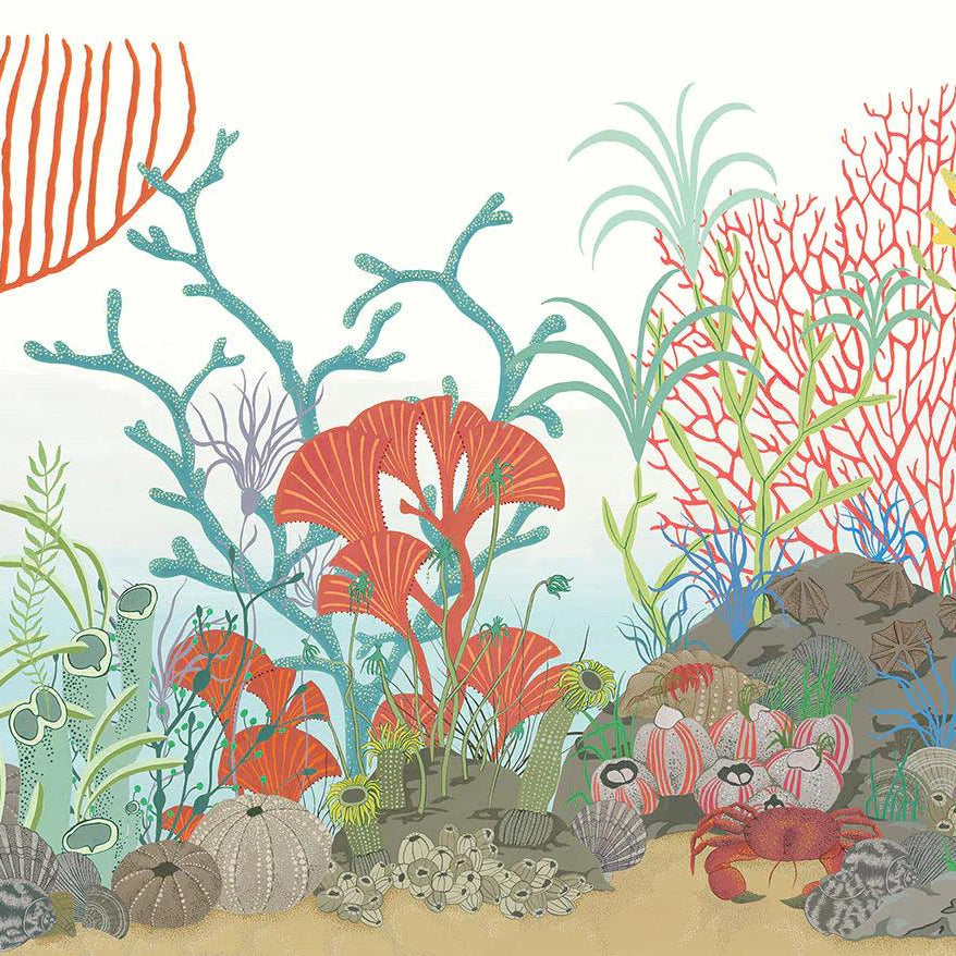 Tapeta WHIMSICAL - Archipelago Border Cole & Son    Eye on Design